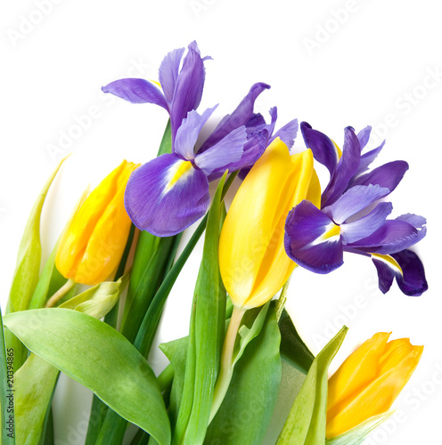 beautiful spring flowers