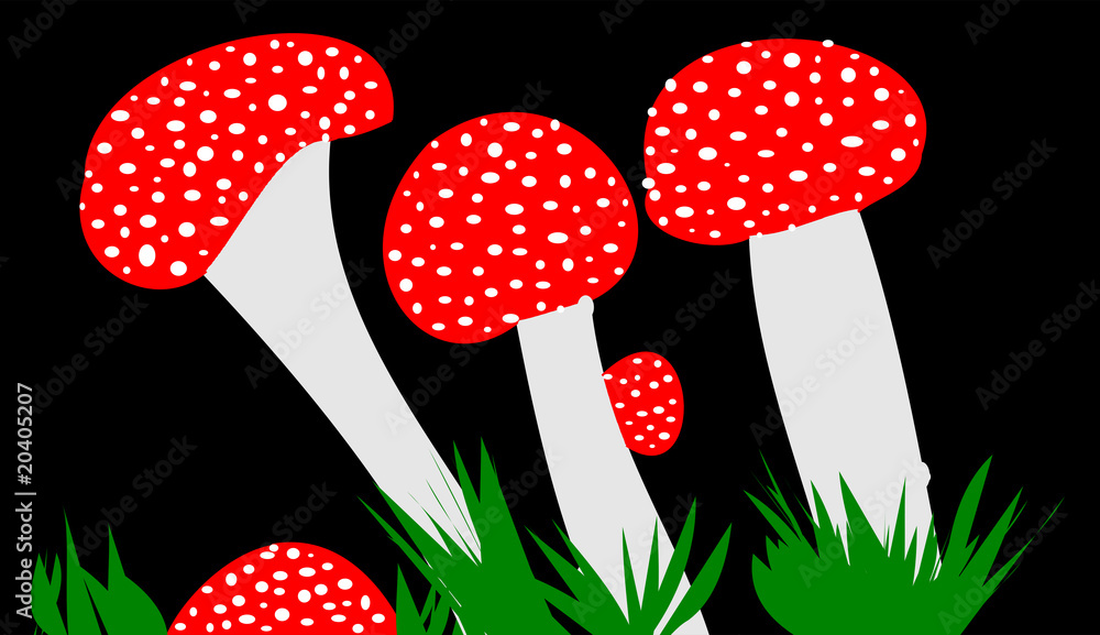 fliegenpilze Stock Illustration Adobe Stock