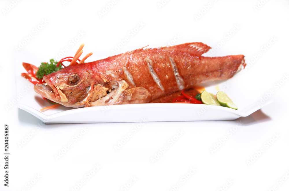 grouper seafood grouper seafood