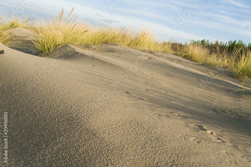 sand of seacost