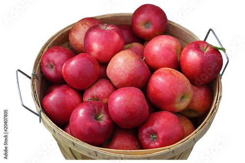 Fotografie Apple bushel