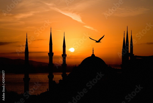 Canvas Print View of Sultanahmet by night, Istanbul