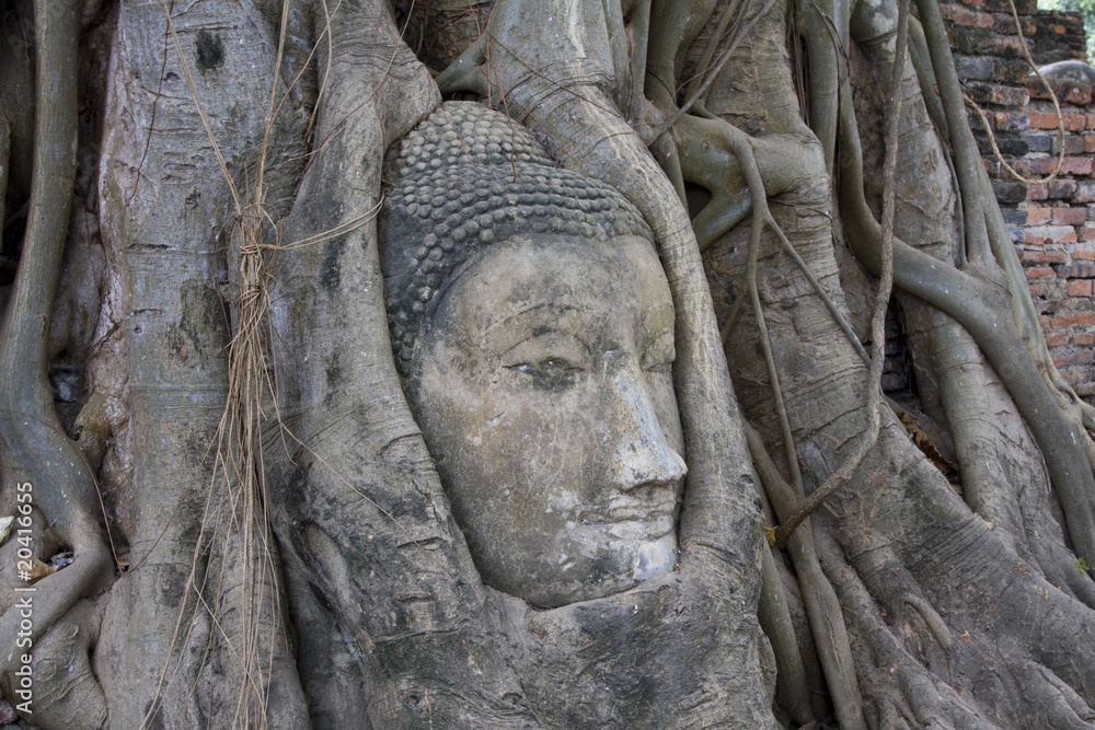 Head of Sandstone Buddha at Wat Mahatat, Ayutthaya.Thailand.