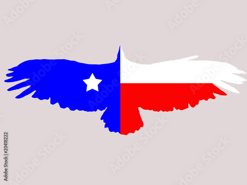 Texas flag