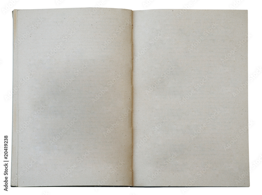blank open book blank open book