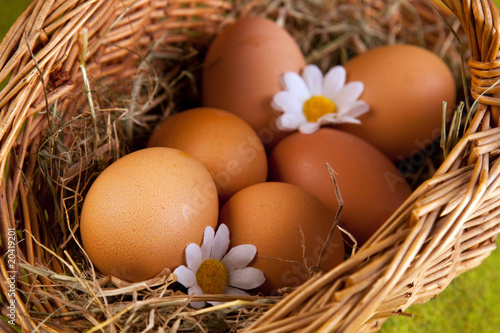 Egg in Basket