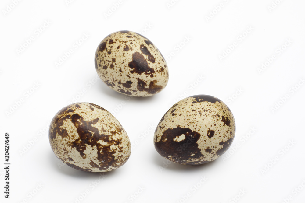 Three quail eggs on white background Three quail eggs on white background