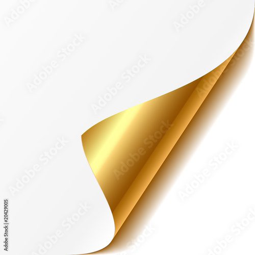 Curled corner. Easy editable Vector.
