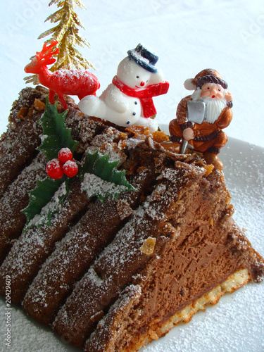 Bûche de Noël-7883 photo