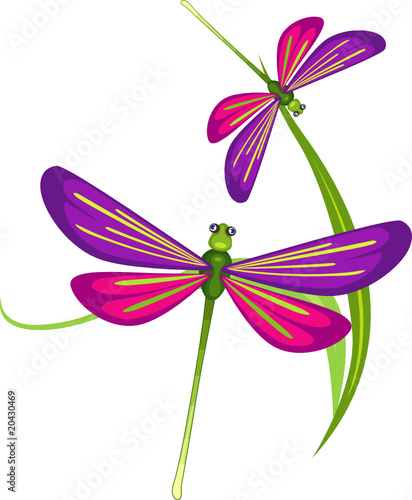 dragonflies