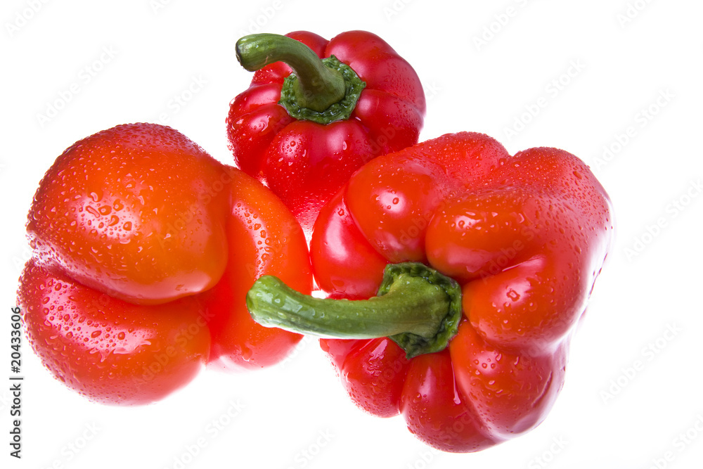 red juicy peppers on white background red juicy peppers on white background