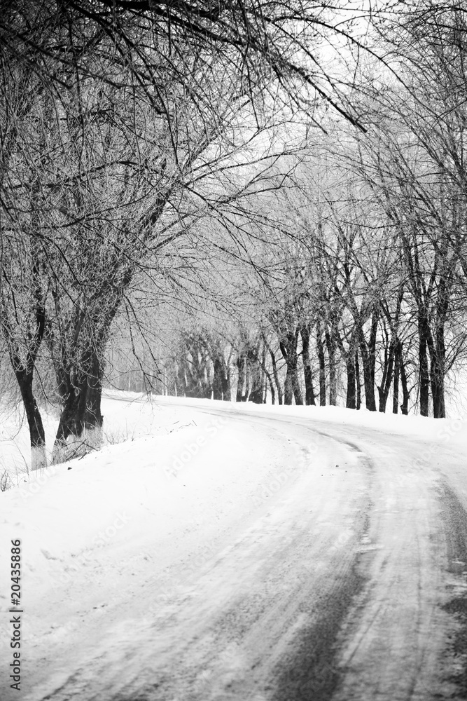 Road in snow through forest. Photo in retro style.
