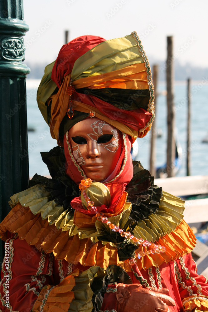 Obraz premium Venice Carnival