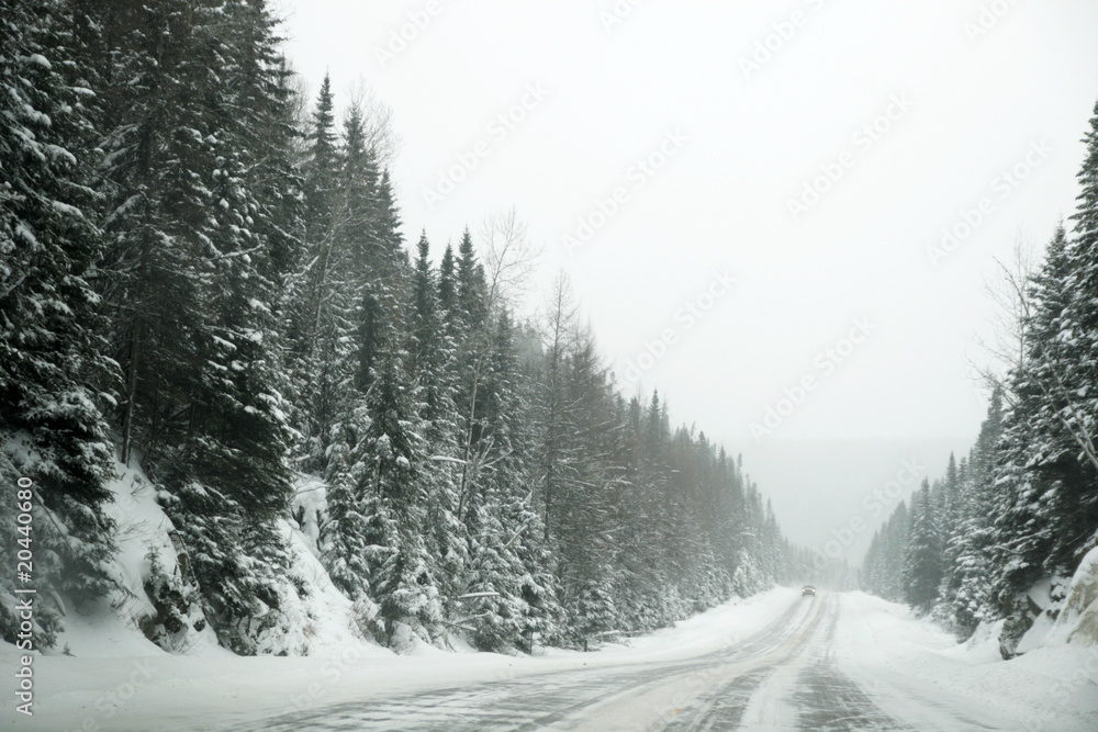 Obraz premium Winter