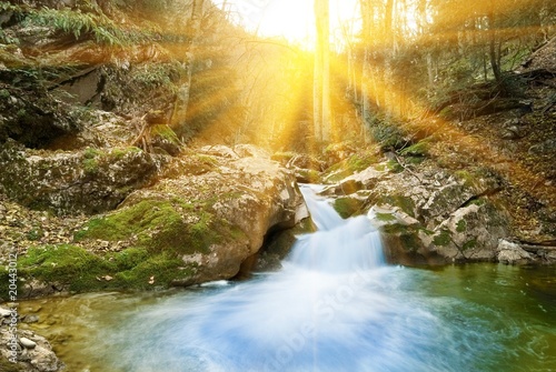 Vászonkép spring mountain brook in a rays of sun