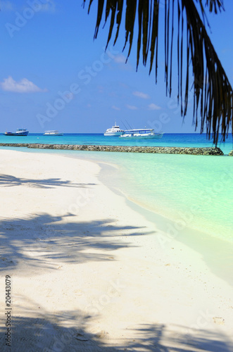 beach scene at Maldives