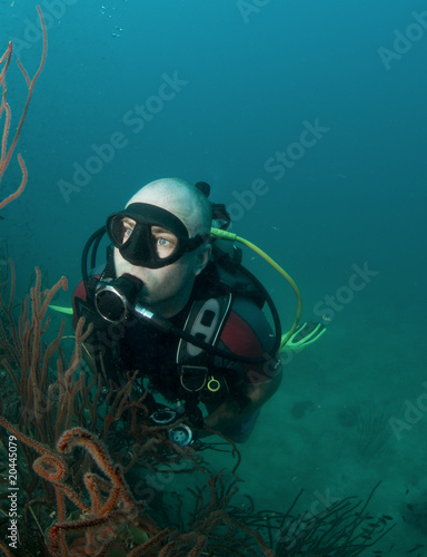 Wallpaper Mural young male scuba diver swimming over coral Torontodigital.ca