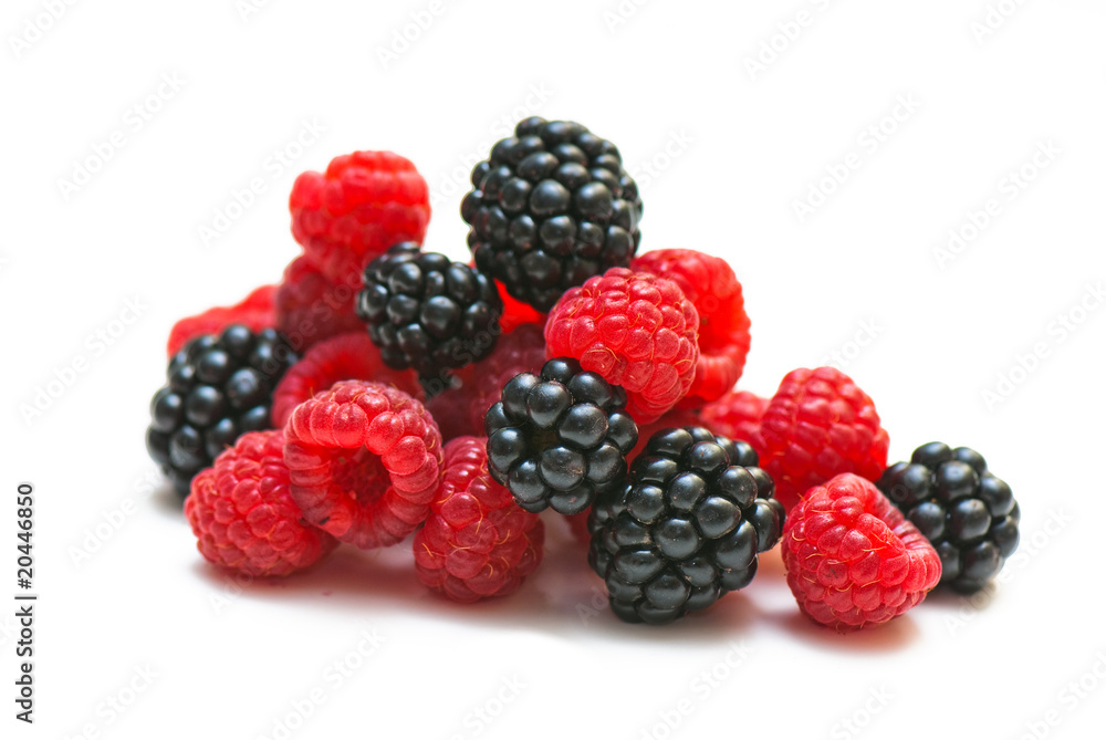 blackberry and raspberry blackberry and raspberry