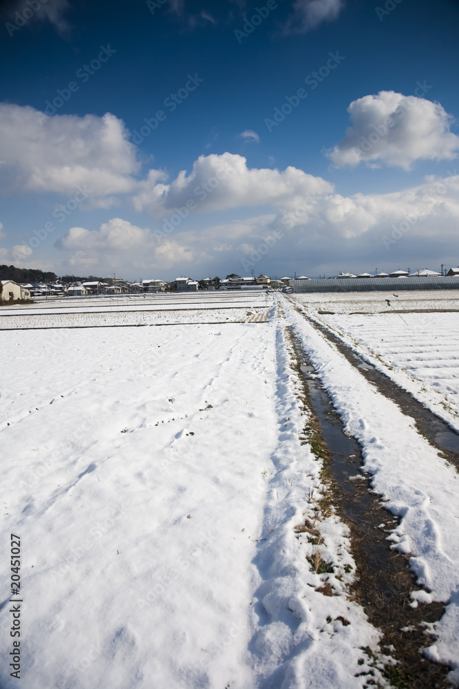 Snow path across the ricefields Snow path across the ricefields