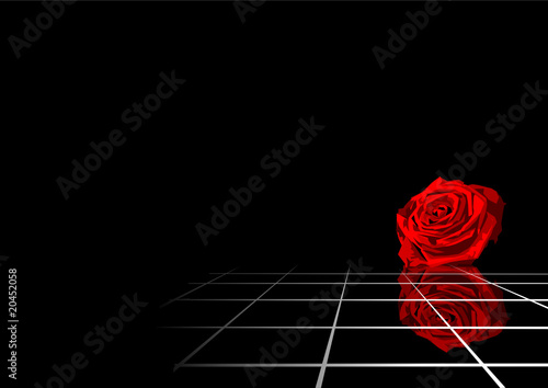 black rose