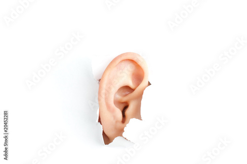 woman ear photo