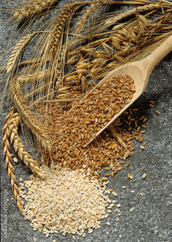 various sorts of cereals and grain