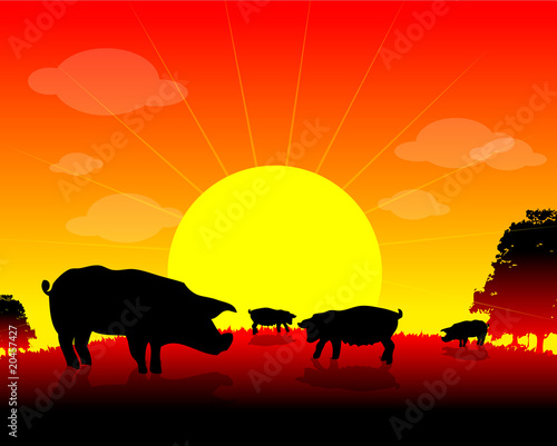farm animals, Herd of pigs on nature © Icons Jewelry