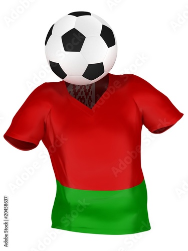 National Soccer Team of Belarus | All Teams Collection |