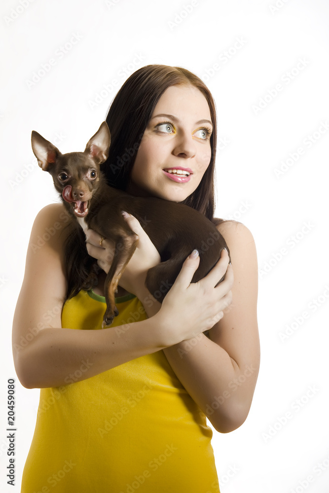 Young pretty beautiful woman holding little toy terrier dog Young pretty beautiful woman holding little toy terrier dog
