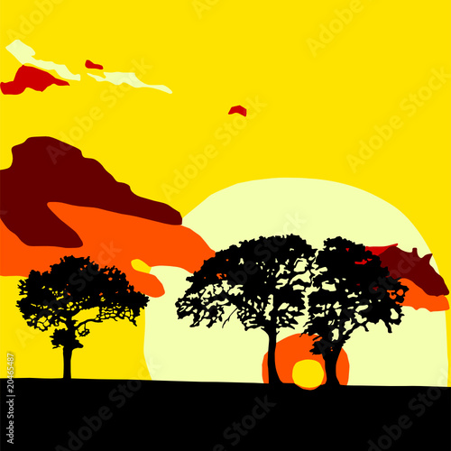 trees in sunset