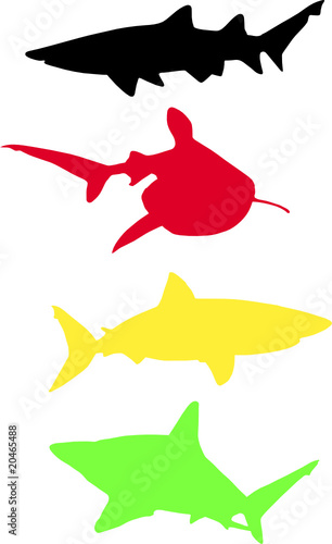 sharks united colors