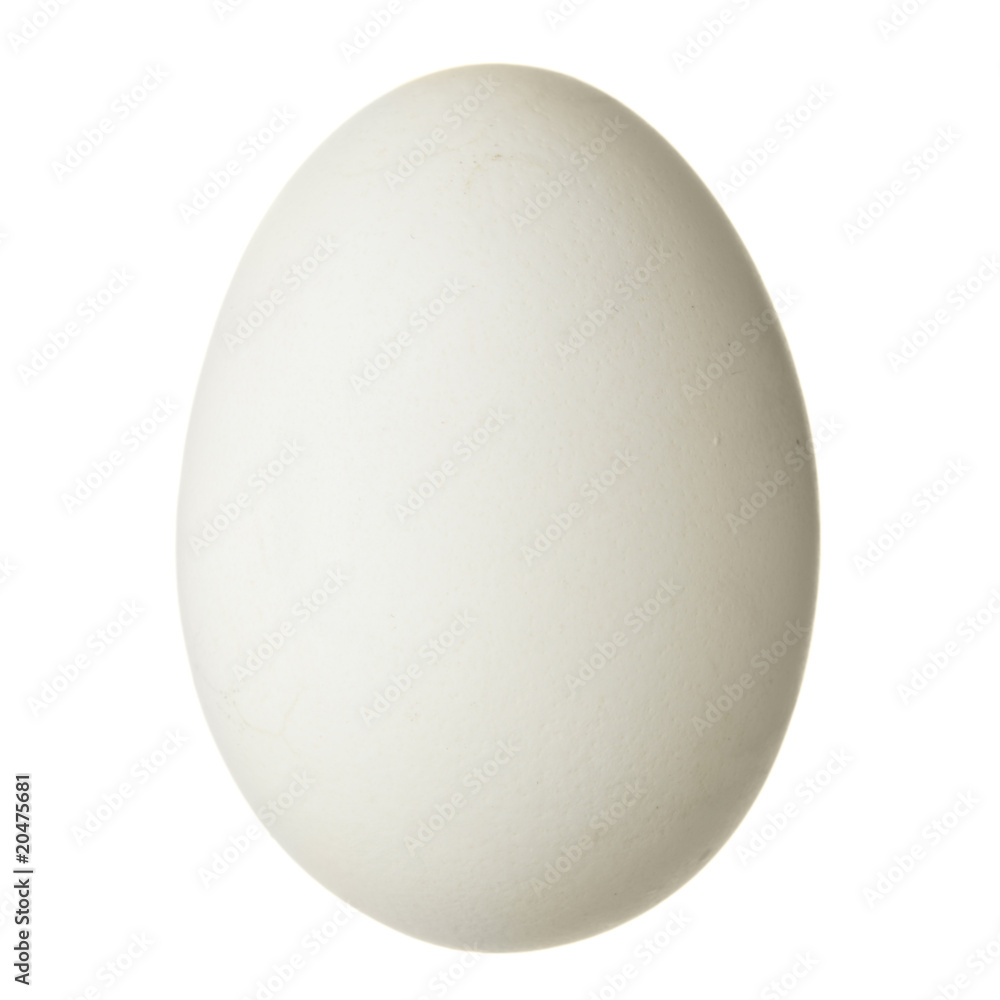 Chicken egg