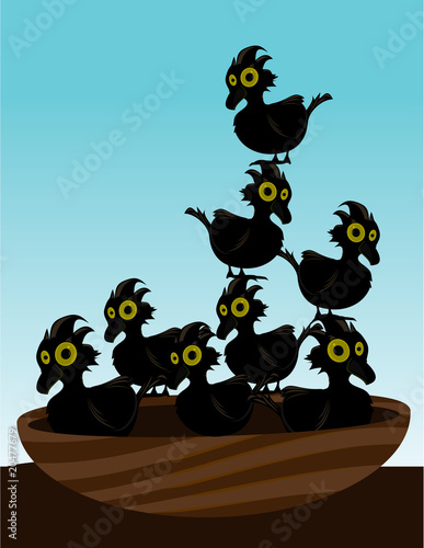 Birds in nest