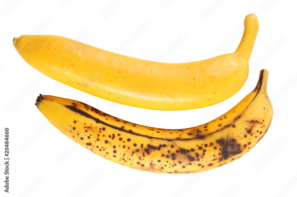 Two bananas. Isolated