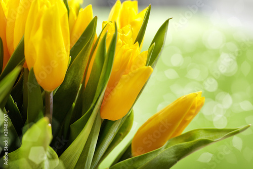 Fototapeta Naklejka Na Ścianę i Meble -  Yellow tulips