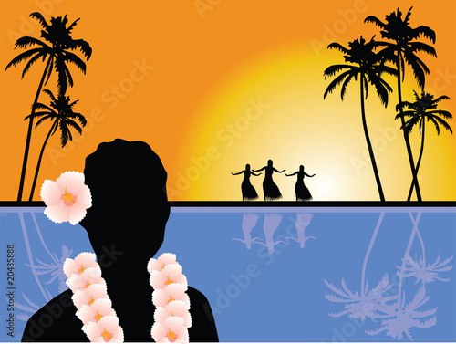 Hawaiian scenery vector photo