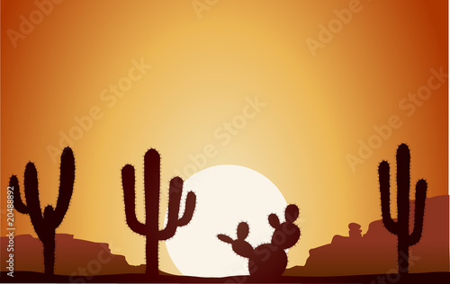 desierto + cactus2 photo