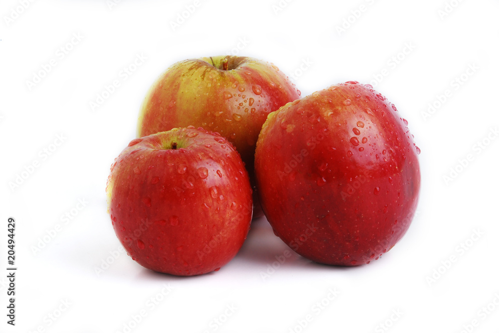 apples apples