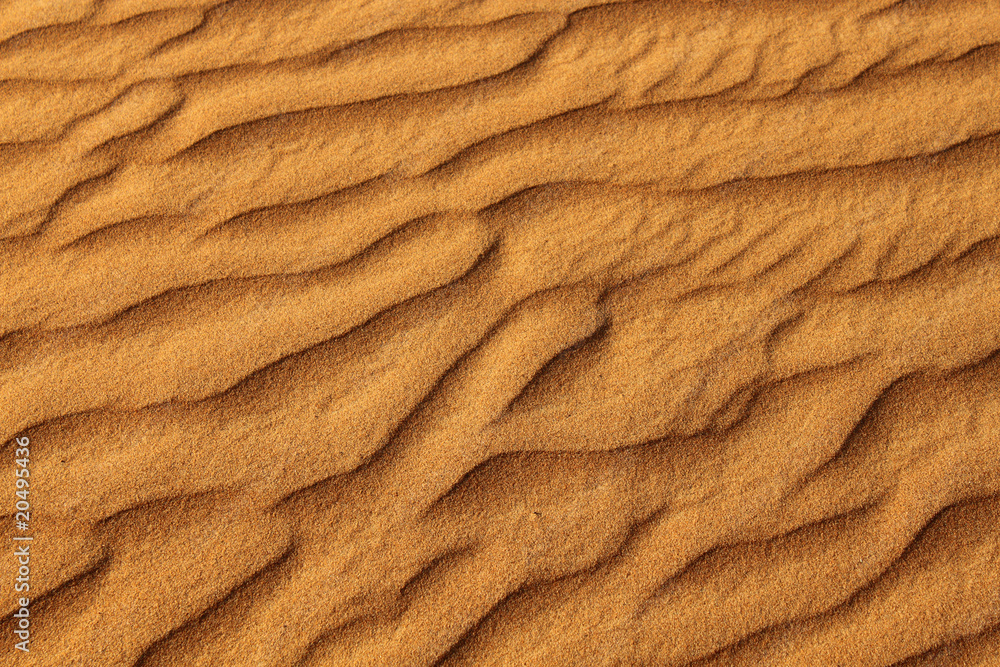 desert sand in dubai, united arab emirates desert sand in dubai, united arab emirates