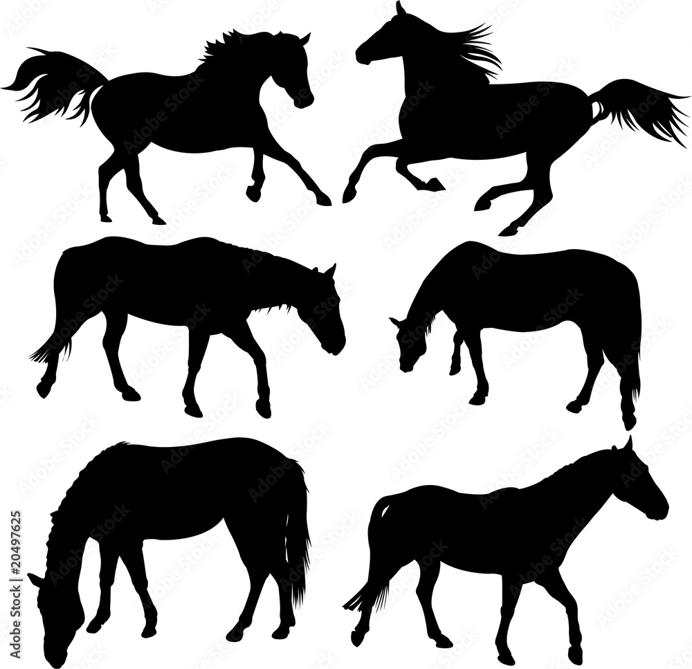 Horse Silhouette Collection Horse Silhouette Collection