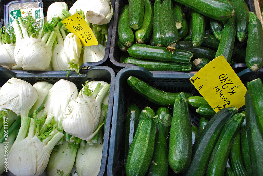 Fenchel und Zucchini