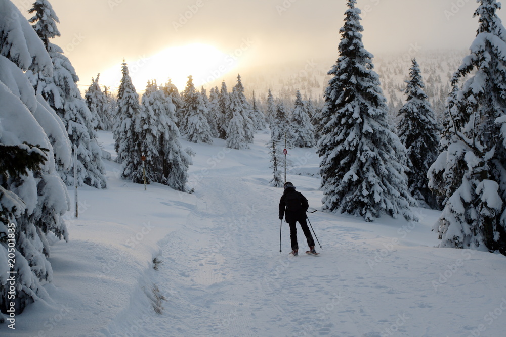 Fototapeta premium Skiing in mountains at sunset