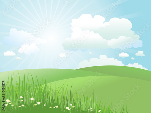 summer landscape