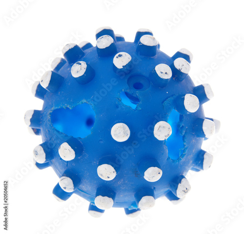 Bitten, with holes a toy of a dog