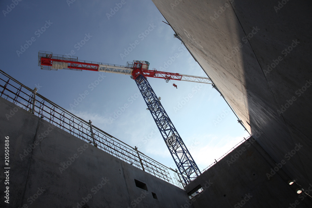 Fototapeta premium grue