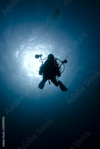 Underneath view of an underwater photographer silhouetted agains