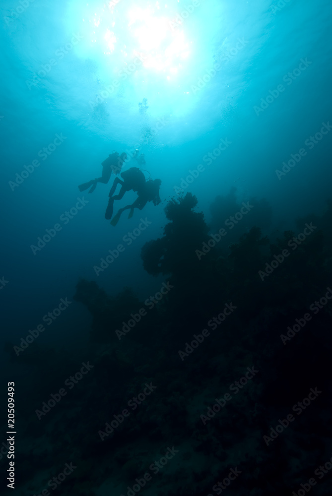 Silhouette of divers over a coral reef Silhouette of divers over a coral reef
