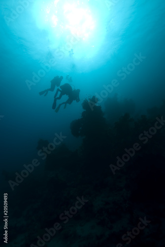 Silhouette of divers over a coral reef © Mark Doherty