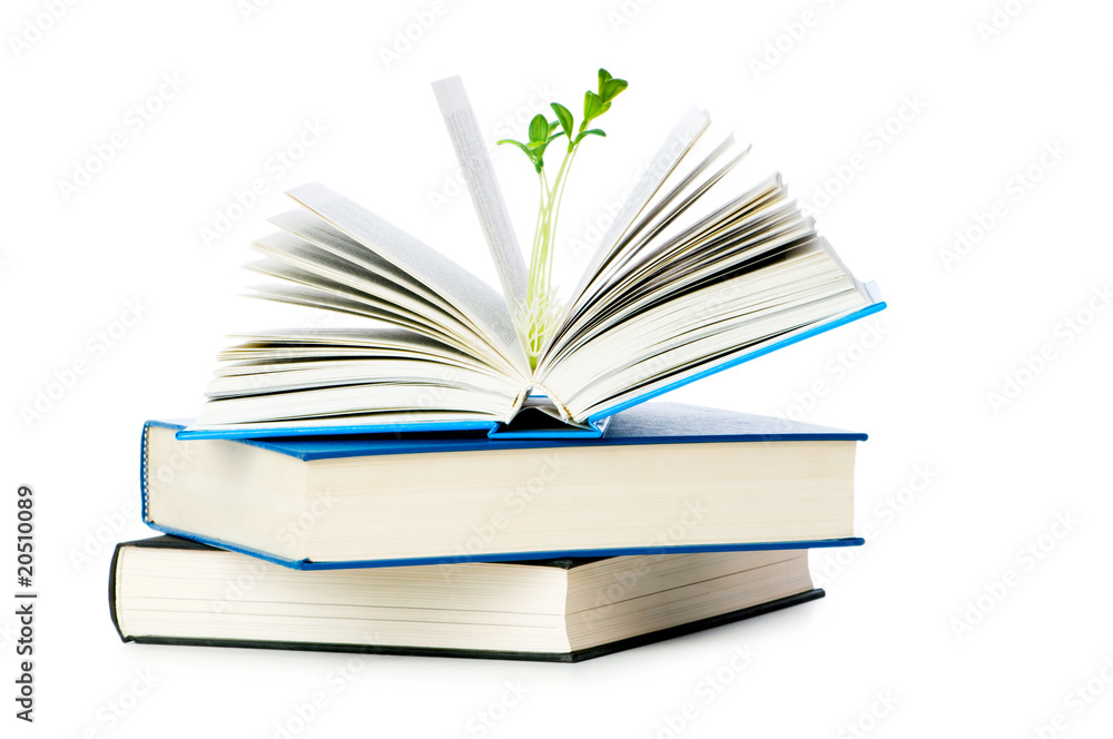 Knowledge concept with books and seedlings