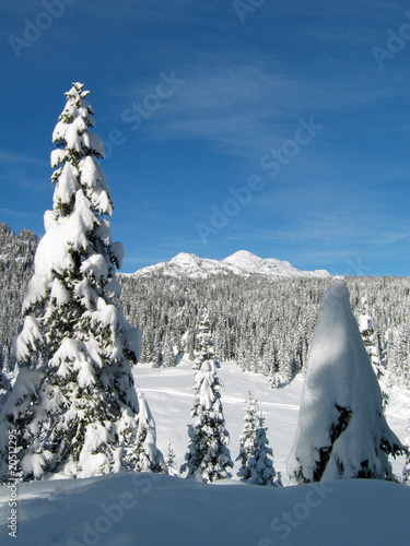 Paesaggio innevato